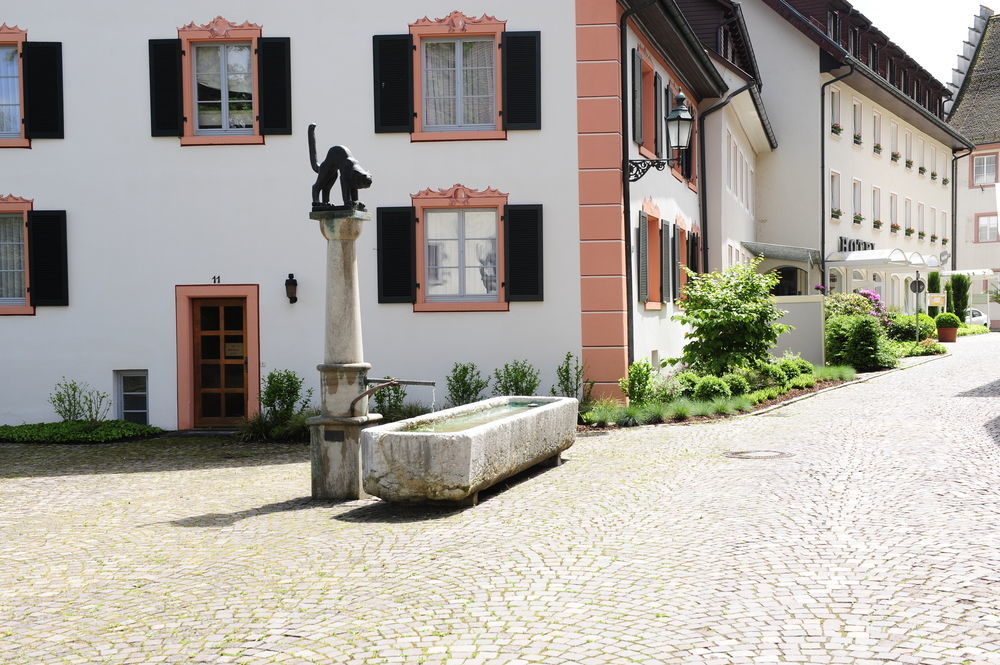 Ringhotel Goldener Knopf Bad Säckingen Eksteriør billede